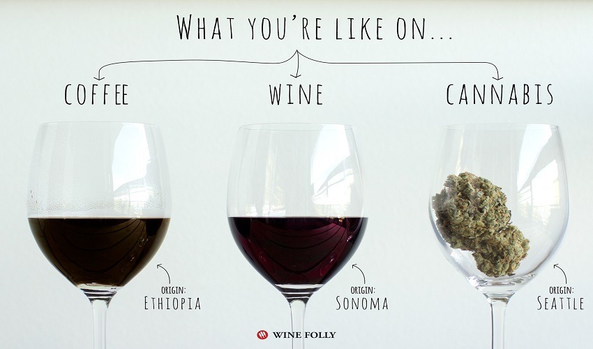 Is Consuming Coffee, Wine And Cannabis Good For Your Body?