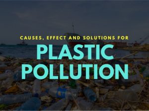 Causes of Plastic Pollution