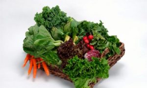 Consume Green Leafy Vegetables to Lose Weight