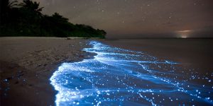 Unbelievable glowing beach, maldives