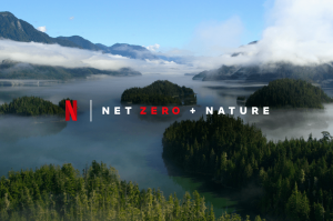 Netflix planning to reach net zero carbon emissions 