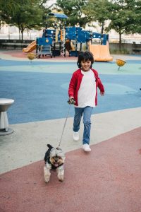 little boy walking a dog on leash